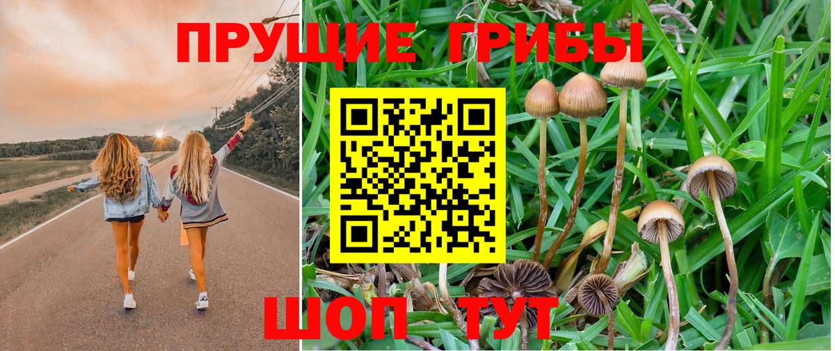Галлюциногенные грибы прущие грибы Кудымкар