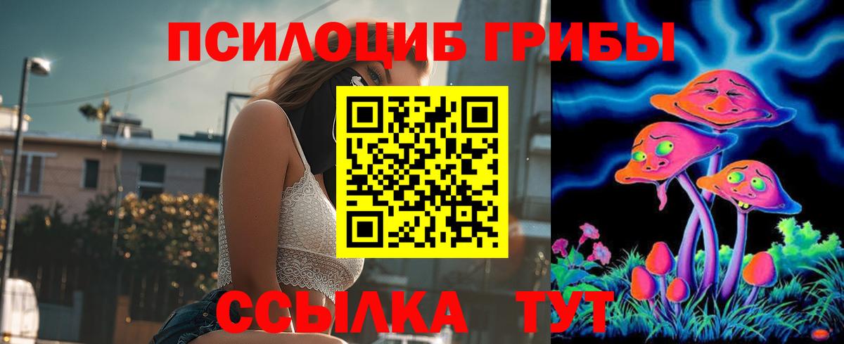 Кудымкар  Псилоцибиновые грибы мицелий  Вход с VPN 